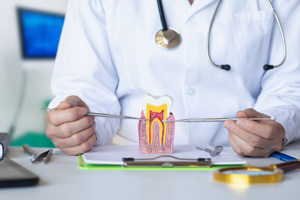 Best Dentist for Dental Trauma  in Mandeville, LA